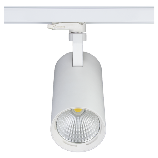 KF-TL424D100 - Image 7