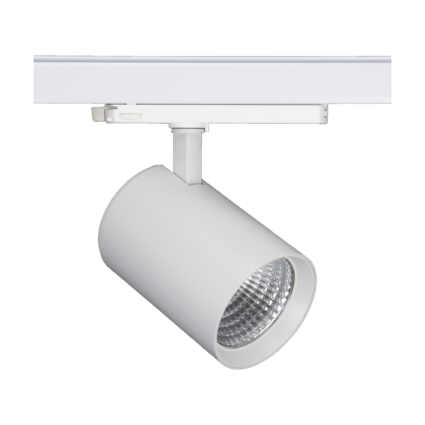 KF-TL429D100 - Image 2